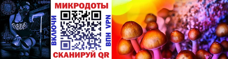 Галлюциногенные грибы ЛСД  закладки  Нижние Серги 